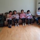 원화경로당 Daum카페