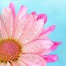 대전장애우권익문제연구소 이미지