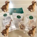 멍근멍근 이미지