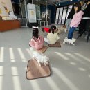 바로나도 수원영통 이미지