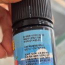 라미야포항점 네이버블로그