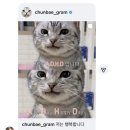 임자어린이집 | 새로운 박자에 발을 맞춰