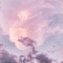 서래안 펫타운 이미지