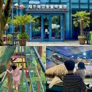 성산구 ⓒ-21 | 제주 성산 아기랑 포토존 놀이터 있는 제주해양동물박물관
