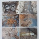 구암동516 이미지