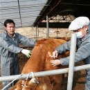 대구가축병원 이미지