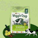 도그프리 이미지