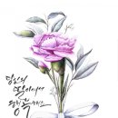 일러스트 캘리그라피 이미지