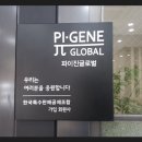 파이진이유라