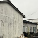 스테이선자우 이미지