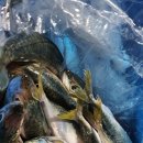 통큰젓갈 이미지