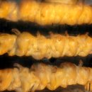 영양센타 이미지