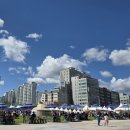 축제-평화의 축제 이미지