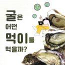 국립수산과학원남동해수산연구소 이미지