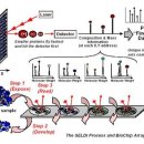 베리칩, 바이오칩[biochip] 이미지