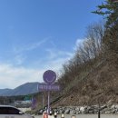 갈재농장 | 예쁜카페/ 장성대형카페 “따리네시아 ”, 불멍무료,블루베리스무디,블루베리에이드,블루베리케이크 후기]