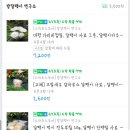 방달팽이 연구소 이미지