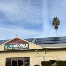 놀러와 피시 | 시드니 필수 투어 추천 :: 놀러와 시드니, 포트스테판 투어! (오크베일동물원+샌드보딩+와이너리)