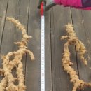 구암동355 이미지