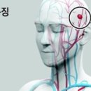 부풀다