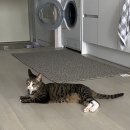 스타동물병원 이미지