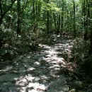 장성김밥 이미지