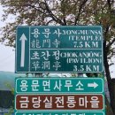 상금곡 사괴당 고택