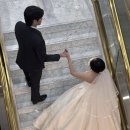 러브더모어 | 11-1. 👰‍♀️본식스냅 📷아이폰스냅 러브모어(구. 디어마이디어) 내돈내산 후기