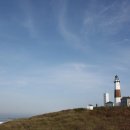 롱아일랜드 이미지