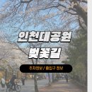 GS25장수해누리점 | [벚꽃여행] 인천대공원 벚꽃축제 주차정보 / 쪽문 주차