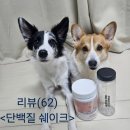 크러쉬 푸들 | (단백질 쉐이크 추천)프로틴스토리 맛있는 헬스부스터 L아르기닌이 첨가된 오렌지크러쉬 쉐이크 먹은 후기