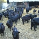 재신농장 이미지