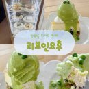 인카페 | 망원동 리브인오후 카페 후기｜계절 한정 완두치즈케이크, 예약하고 가야 하는 이유