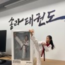 용인대학교 스타태권도장 이미지