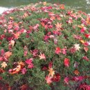 아름다운쉼터 이미지