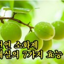 천연 소화제 매실의 7가지 효능 이미지