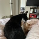 하나로이비인후과의원 이미지