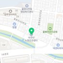 청주 애견유치원 꼬리흔들개Lucky 이미지