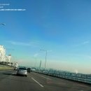 옥토퍼스 디테일링 이미지