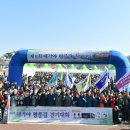 대가야광장 이미지