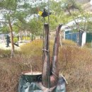 학선농장 이미지