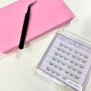 앙큼여우 | 테무 노글루 속눈썹 &amp; 트위저 솔직한 구매 추천 후기