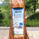 키드랜드어린이집 | 자연이 함께하는 어린이 천국 김해가야랜드엔젤파크