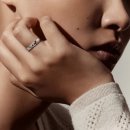 주식회사 천호투어 | Wedding(6)-웨딩밴드 구입/에르메스 헤라클래스