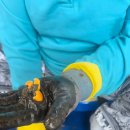 해녀작업장 이미지