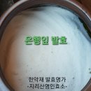 은행잎 발효액 거르기 이미지