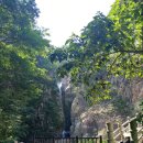 기석농장 이미지