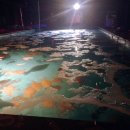 안양바다낚시터 이미지