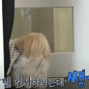 하울팟 케어클럽(분당서현점) 이미지