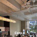 센스(Cens)